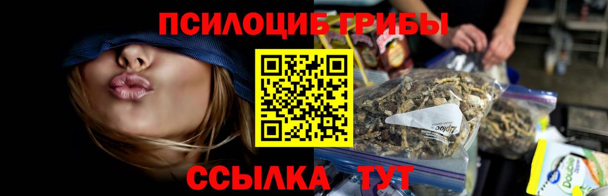 Галлюциногенные грибы Psilocybine cubensis  Галлюциногенные грибы MAGIC MUSHROOMS  Можга  Вход с VPN 